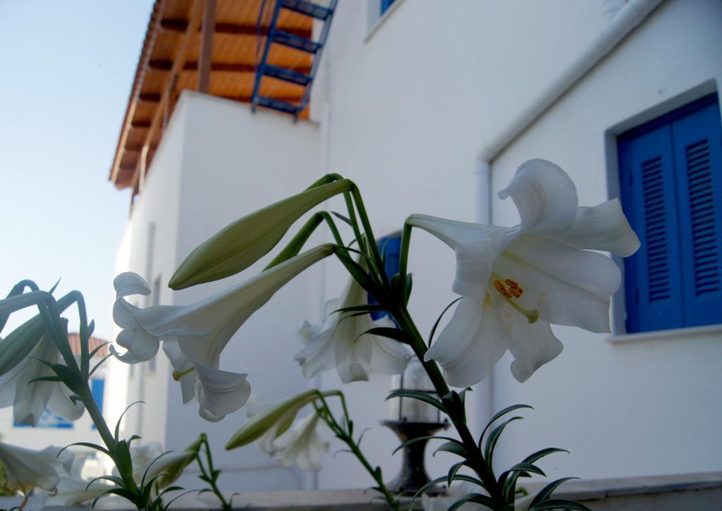 Idroussa Batsíon Exterior foto